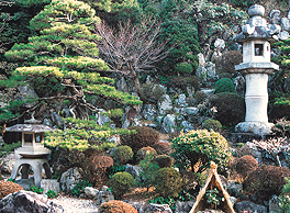La tranquilidad del jardín japonés alivia las mentes de los visitadores.