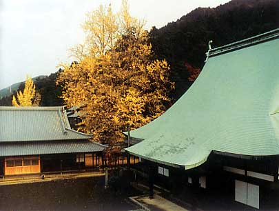 Sala de Dharma (derecha), Sala de los Monjes (izquierda) y árbol milenario de gingko biloba